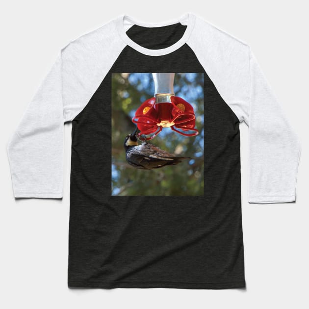 Acorn Woodpecker Raiding A Hummingbird Feeder Baseball T-Shirt by DPattonPD